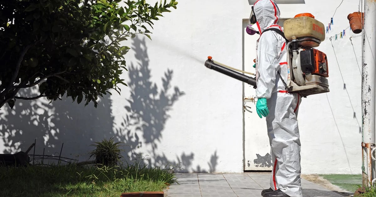 Uruguay atraviesa un récord de pacientes graves por dengue pero descarta la vacunación