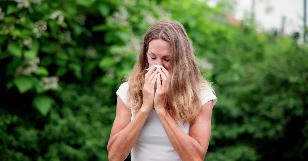 Alergia a los ácaros: síntomas en la piel y otras zonas del cuerpo, causas y tratamiento