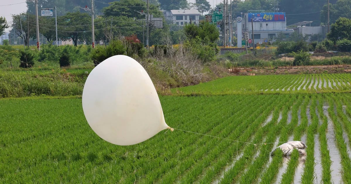 Corea del Sur denunció que el régimen de Kim Jong-un reanudó el envío de globos con basura hacia su territorio