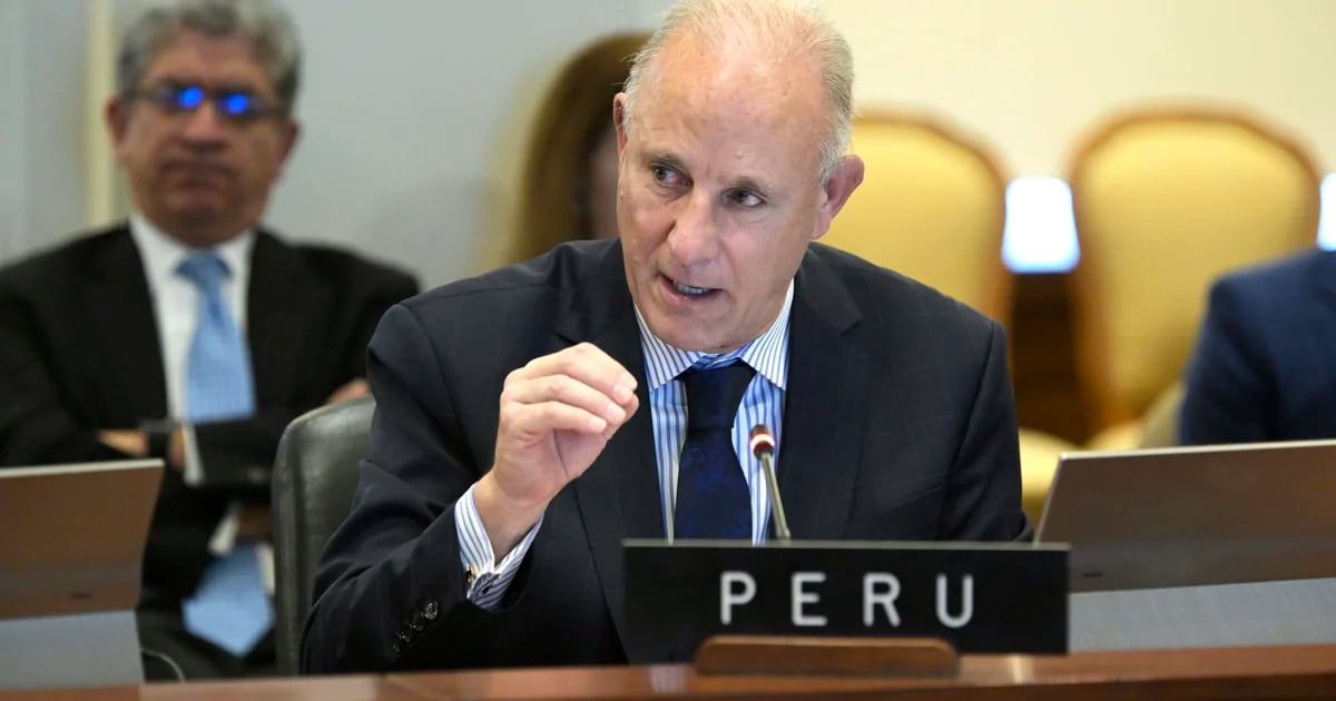 Canciller Javier González-Olaechea acudirá a consejo permanente de OEA para evaluar resultados del proceso electoral de Venezuela